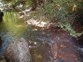 DSCN2693 (1)